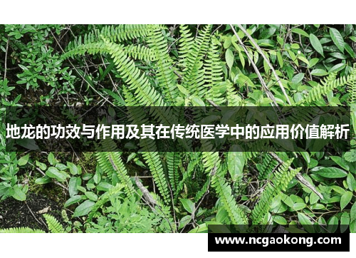 地龙的功效与作用及其在传统医学中的应用价值解析