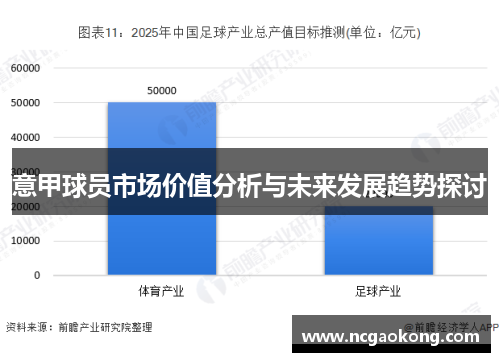 意甲球员市场价值分析与未来发展趋势探讨
